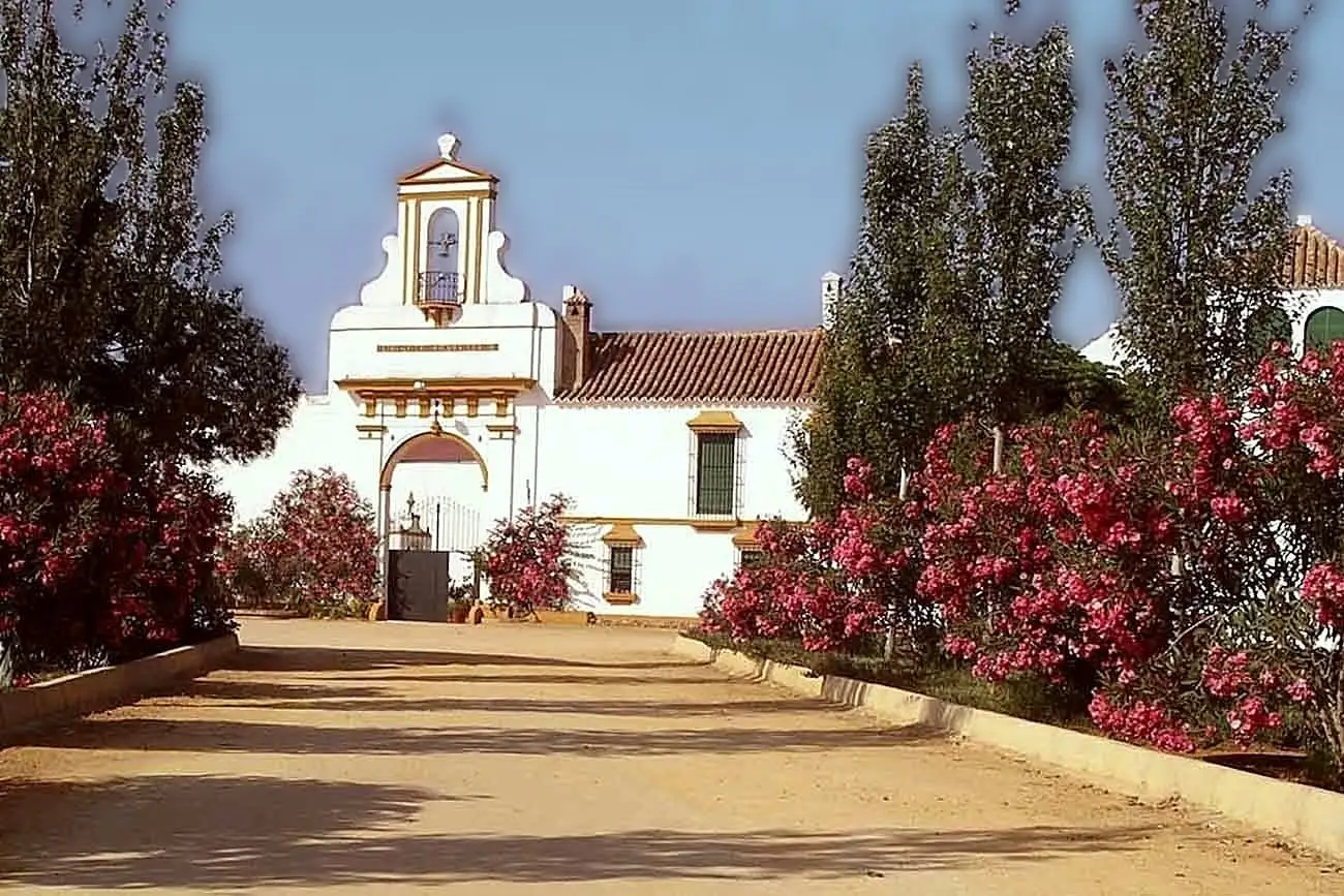 The approach track between flowering oleanders, with the hacienda’s bell gable ahead